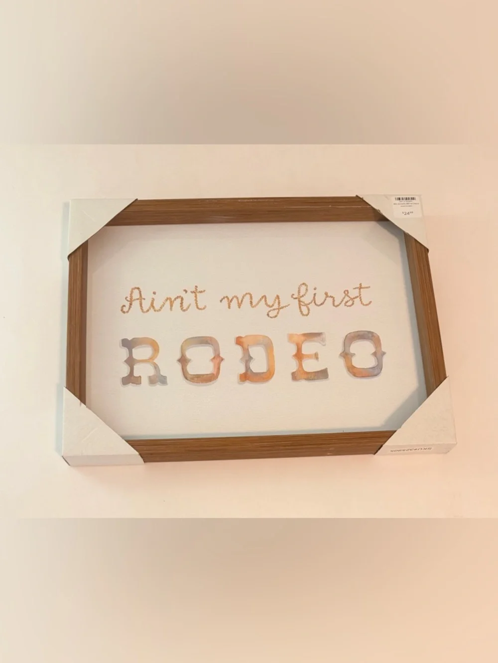 Ain't My First Rodeo Framed Wall Art